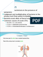 50-70% E. Coli Strains 5-15% Klebsiella Pneumoniae 5-15% Enterobacteriaceae or Enterococci