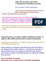 Proteins Are Synthesized On Ribosomes As Linear Polypeptites