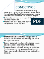 TEJIDOS BASICOS.ppt