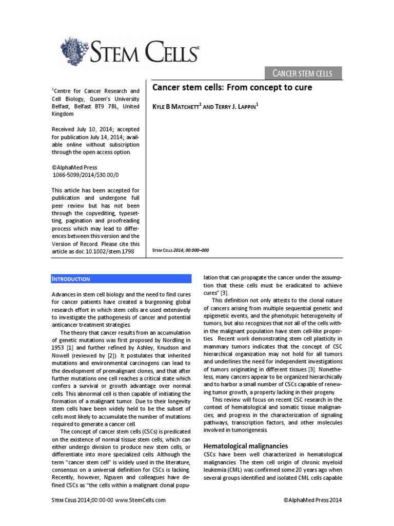 Cancer Stem Cells From Concept To Cure | PDF | Angiogenesis | Cellular ...