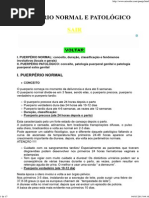 PUERPERIO NORMAL E PATOLOGICO.pdf