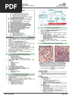 Physical Examination Guide | PDF | Cutaneous Conditions | Abdomen