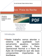 SinQSalva- Praia Da Rocha