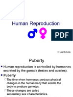 Human Reproduction: © Lisa Michalek