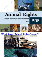 Animal Rights: "The Worst Sin Towards Our Fellow Creatures Is Not To Hate Them, But To