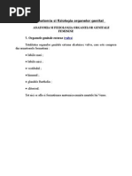 Anatomia Organelor Genitale Feminine MG | PDF