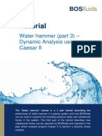 WaterHammer CAESER