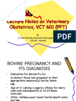 Veterinary Obsterics.ppt