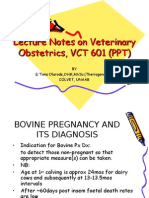 Veterinary Obsterics and dystoica.ppt
