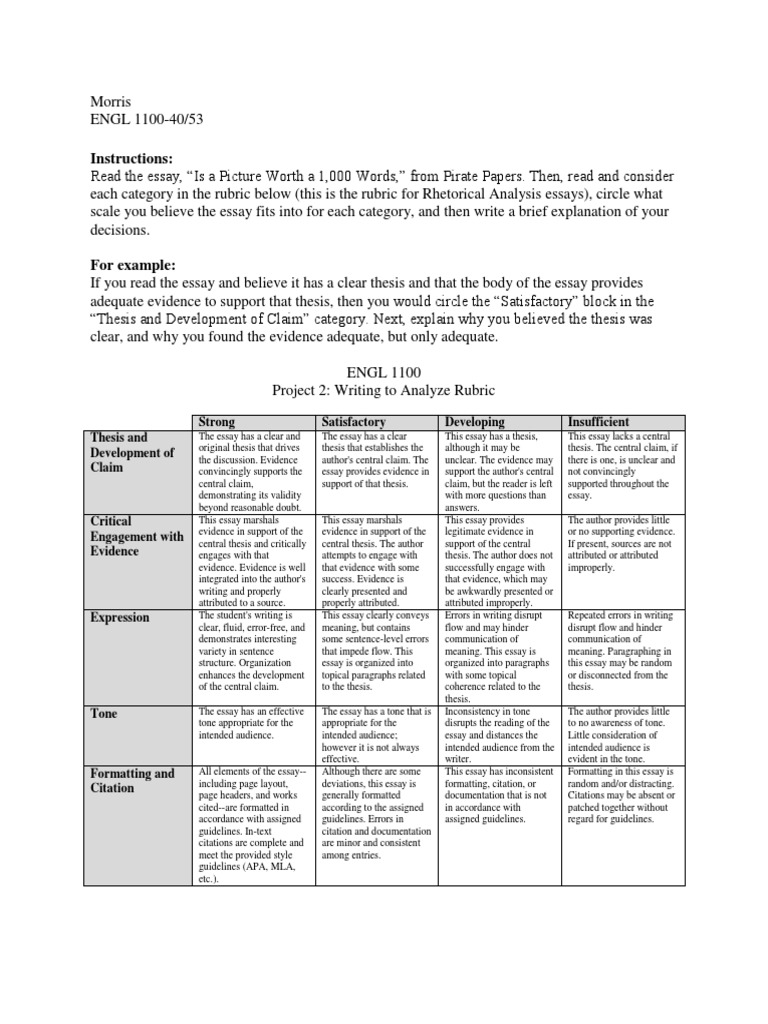Rhetorical Analysis Essay Rubric Guide | PDF | Essays | Citation