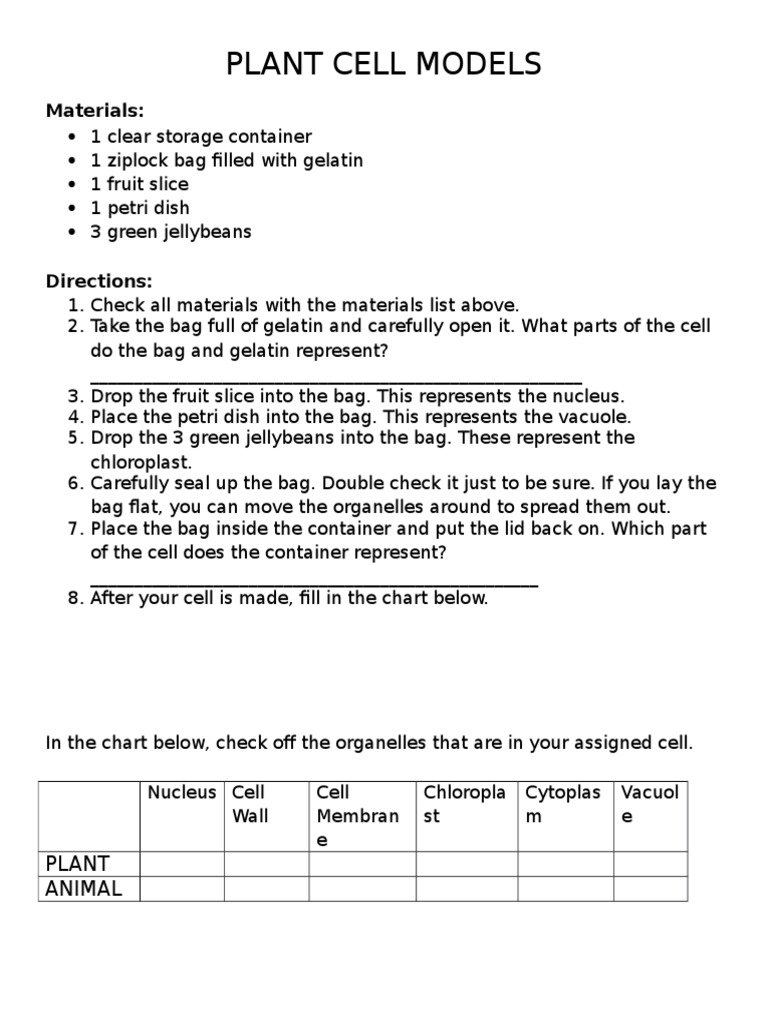 Plant Cell Models | PDF | Home & Garden | Wellness