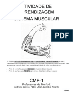Atividade de apendizagem muscular 2_20130501214039.pdf