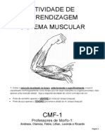 Atividade de Apendizagem Muscular 2 - 20130501214039 PDF