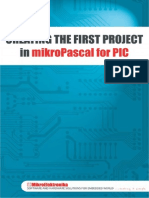 1st Project Pic Pascal v101