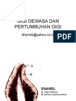 Gigi Dewasa Dan Pertumbuhan Gigi