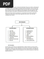 Job Analysis is a Primary Tool to Collect Job