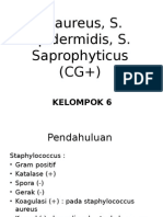 S. Aureus, S. Epidermidis, S. Saprophyticus (CG+) Neisseriaceae, Veillonella (CG-)