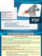 Tamu 2012 PDF