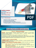 Curs 6 TAMU_2012.pdf