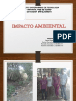 IMPACTO AMBIENTAL