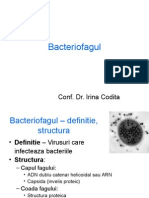 S Bacteriofagi