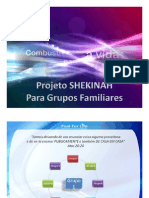 Projeto Shekinah para Implantação de Grupos Familiares