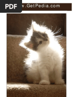 strategic_marketing_handbook