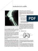 Articulación de La Rodilla