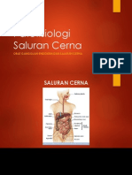 Patofisiologi Saluran Cerna