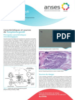 Toxoplasma