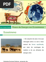 Aula 3 - Fluxos de Energia Nos Ecossistemas