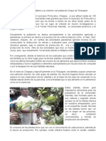 Las Plantas Comestibles y Su Relación Con Población Zoque de Tectuapan