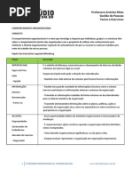 Gestão de Pessoas - Comportamento Organizacional