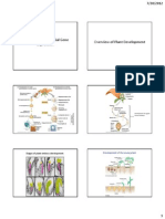 Lec 7 Tissues 