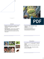 Lecture 4 Photosynthesis