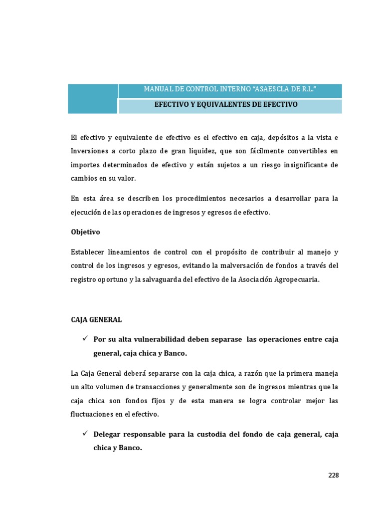 Control Interno de Efectivo y Caja General | PDF | Cheque | Bancos