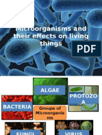 1 Microorganismsandtheireffectsonlivingthings 131228190117 Phpapp02
