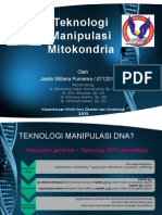 Teknologi Manipulasi Mitokondria