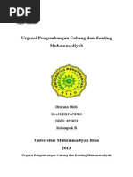 Download Urgensi Pengembangan Cabang Dan Ranting Muhammadiyah by sri helna SN258771891 doc pdf