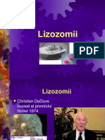 Lizozomi Curs