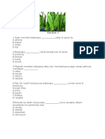 Soal Ujian SD Bahasa Melayu Gambar 1