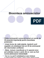 Biosinteza aminoacizilor prezentare