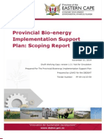 EC Bioenergy Implentation Support Plan Scoping Report