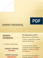 APARATO UROGENITAL CORTO.pdf