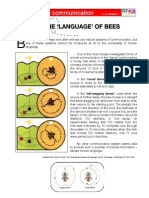 The Language of BEES (Text)