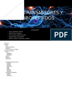 Neurotransmisores y Neuropeptidos (1)