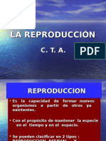 Clase Dere Producción2