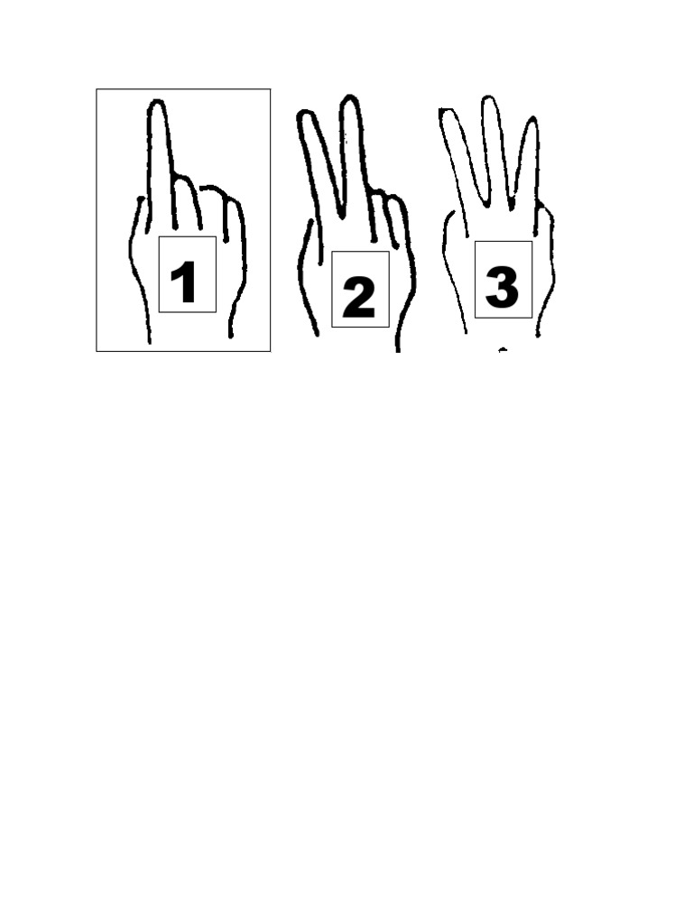 Numeros Lsm