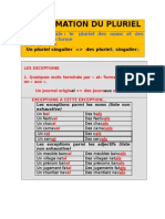 La Formation Du Pluriel