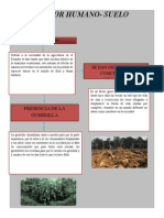 Factor Humano- suelo